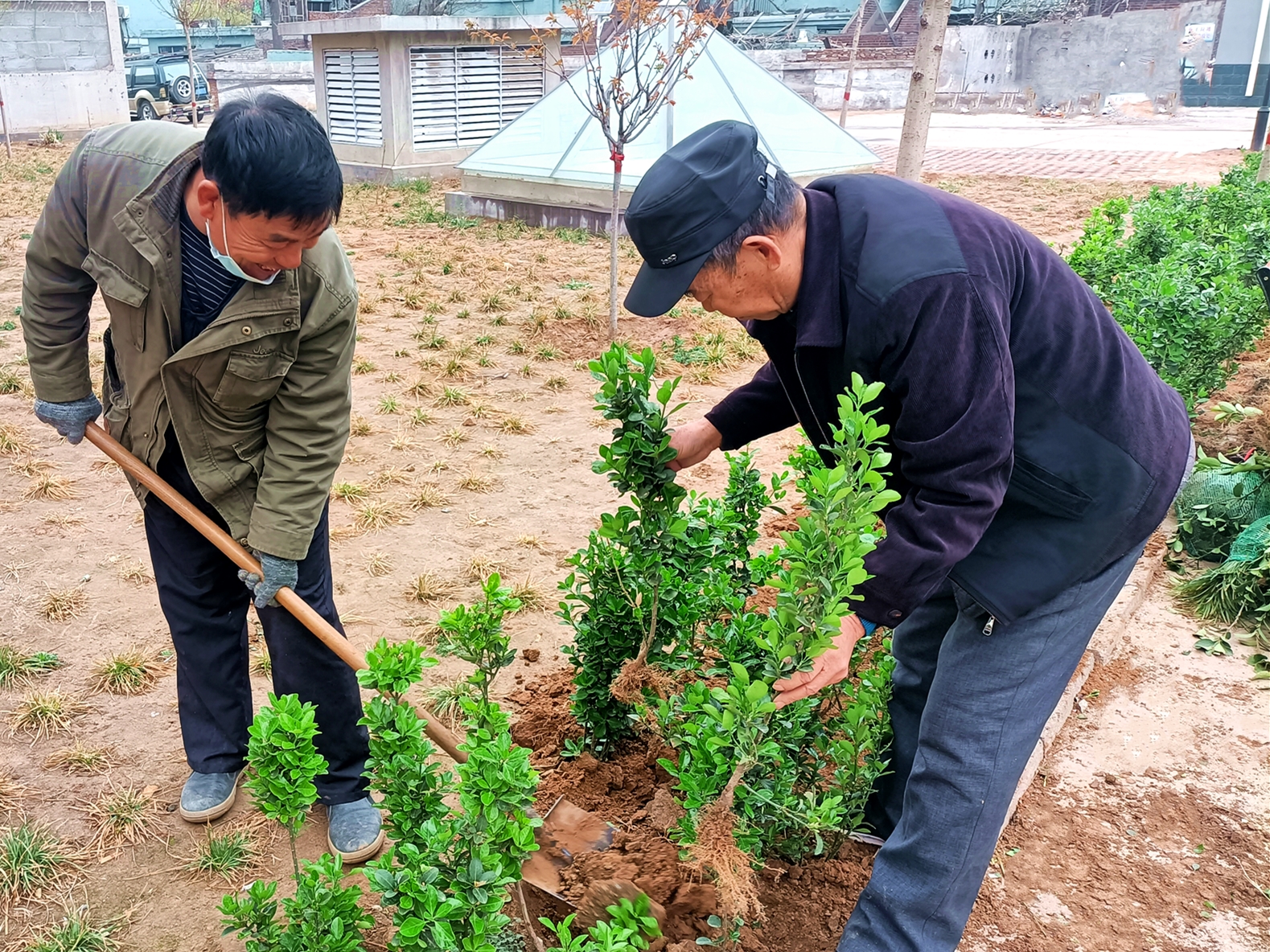 “綠色呼吁”——?？滴飿I(yè)植樹(shù)活動(dòng)